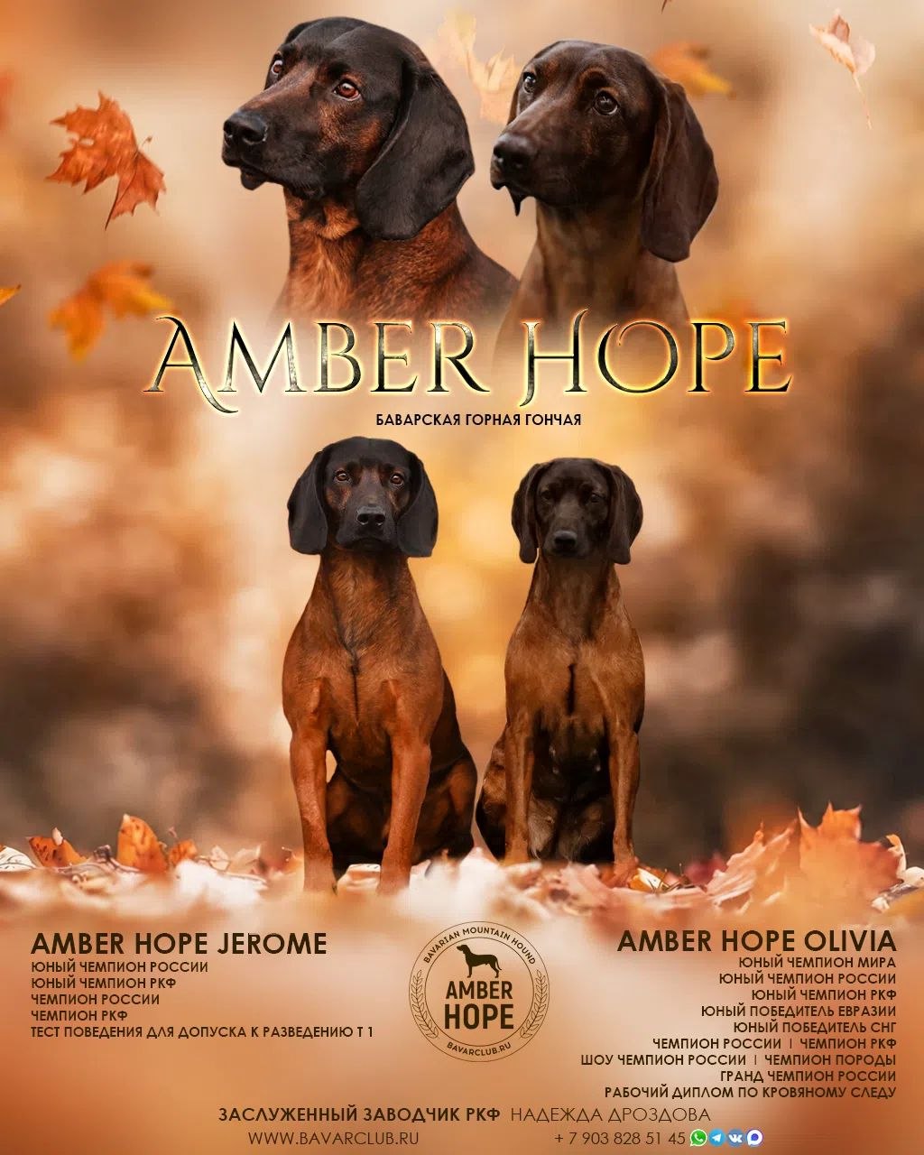 Родители помёта F — Amber Hope Jerome и Amber Hope Olivia